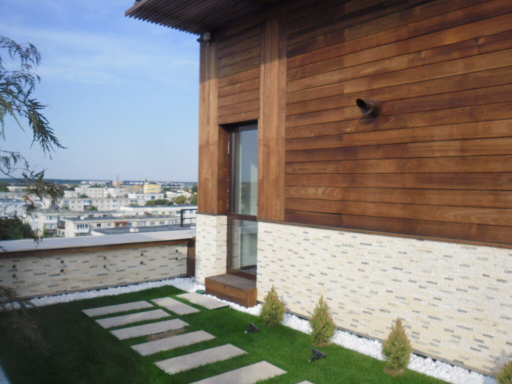 Penthouse Goian 11